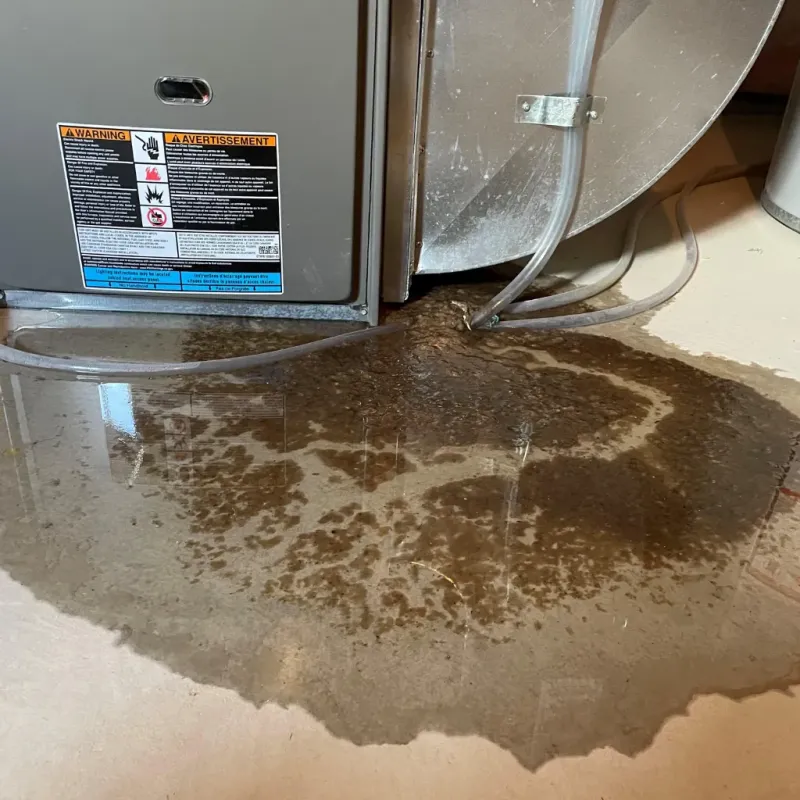 Appliance Leak Cleanup in Pinconning, MI